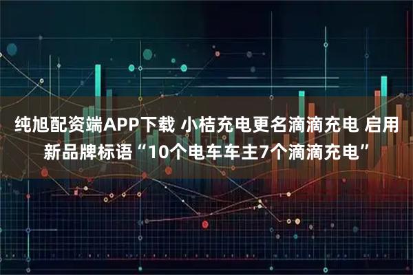 纯旭配资端APP下载 小桔充电更名滴滴充电 启用新品牌标语“10个电车车主7个滴滴充电”